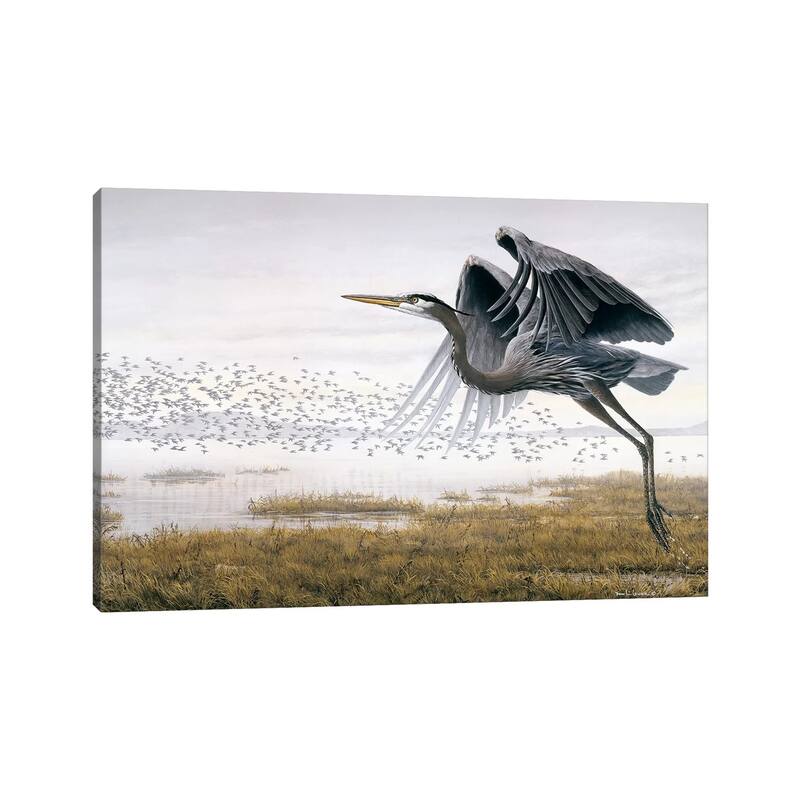iCanvas "Heron Sandpipers" by Don Li-Leger Canvas Print