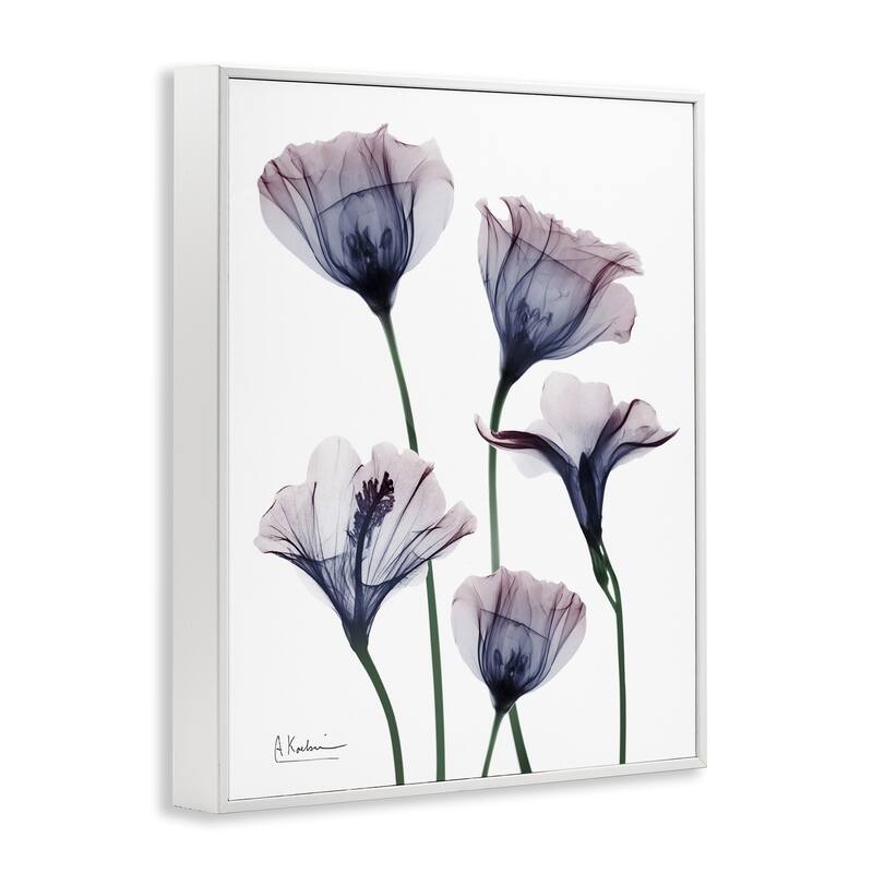 Stupell Subtle Fresh Flowers Framed Giclee Art Design By Albert Koetsier