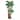 Palm Tree Ekkolight 48"H