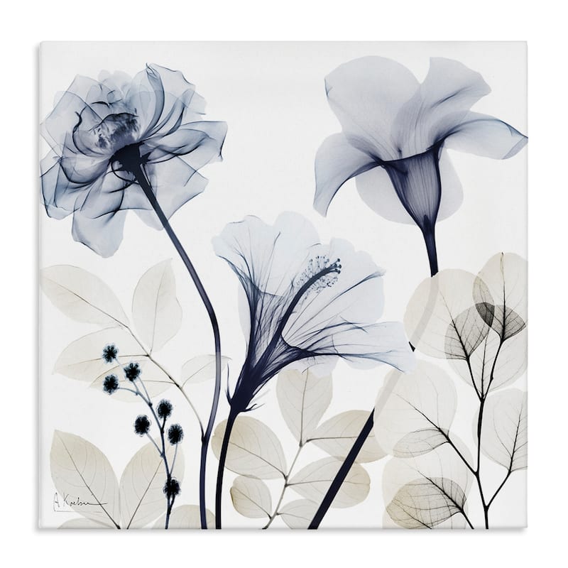 Stupell Sophisticated Minimal Flowers Canvas Wall Art Design By Albert Koetsier - 30 x 30