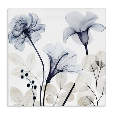 Stupell Sophisticated Minimal Flowers Canvas Wall Art Design By Albert Koetsier