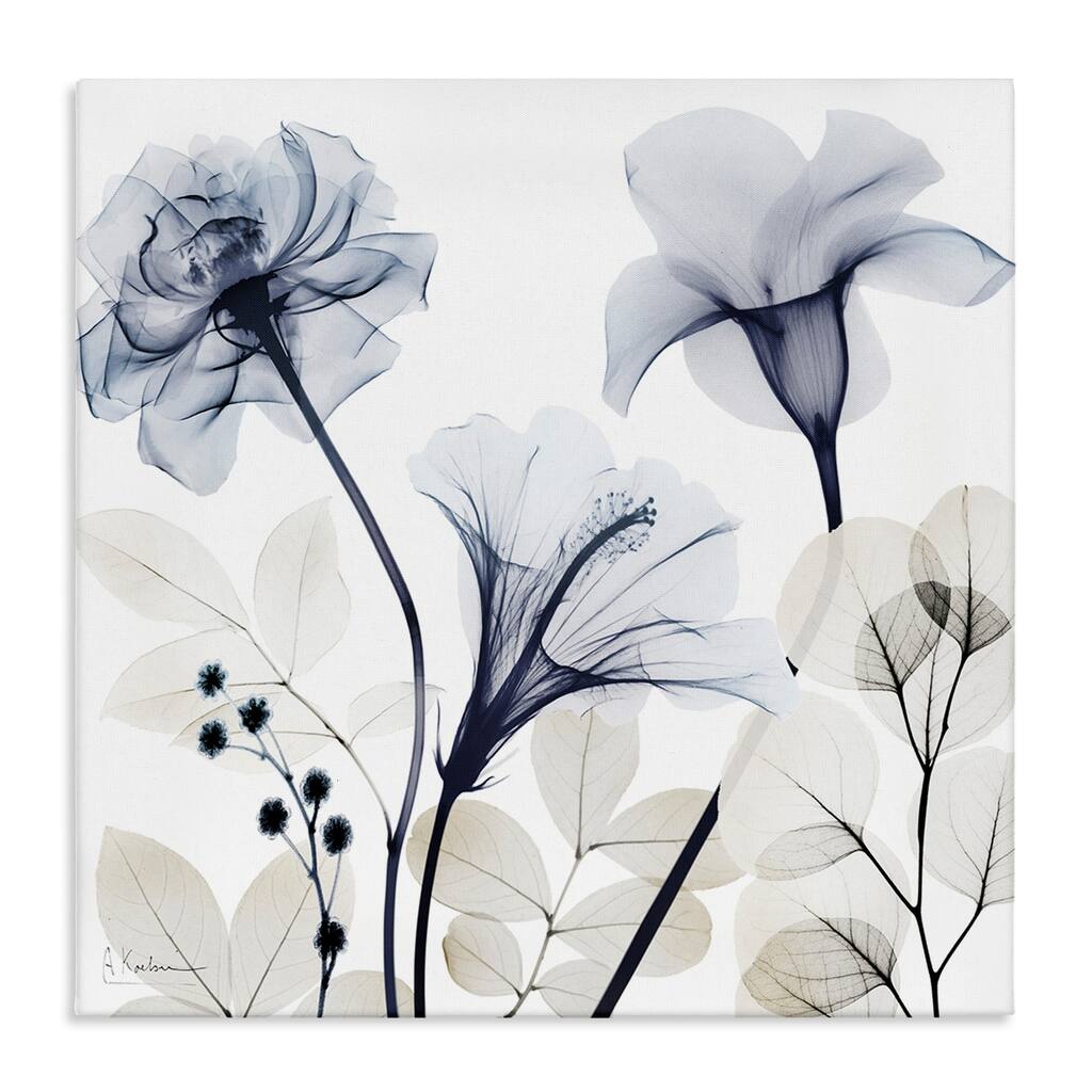 Stupell Sophisticated Minimal Flowers Canvas Wall Art Design By Albert Koetsier