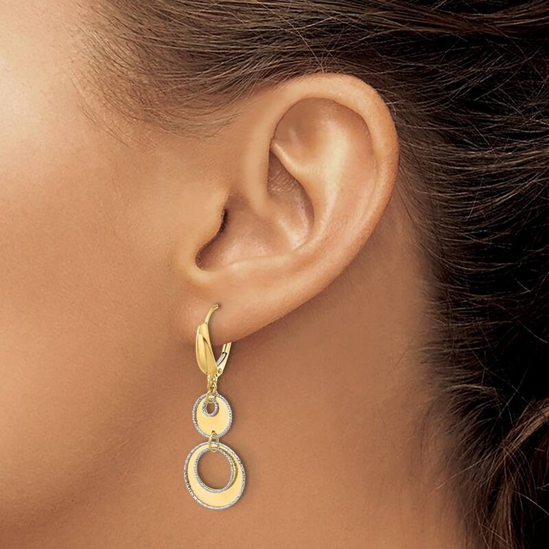 Curata 14k Two Tone Gold Polished and Diamond cut Circles Dangle Leverback Earrings -
