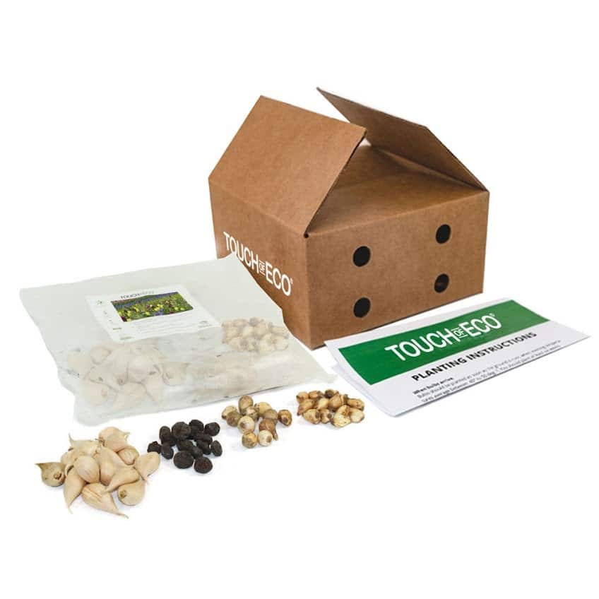 Garden Gem Mixed Flower Collection - 100 Bulbs - Featuring 4 Varieties of Yellow, Blue, White & Purple Flowers - 100 Bulbs