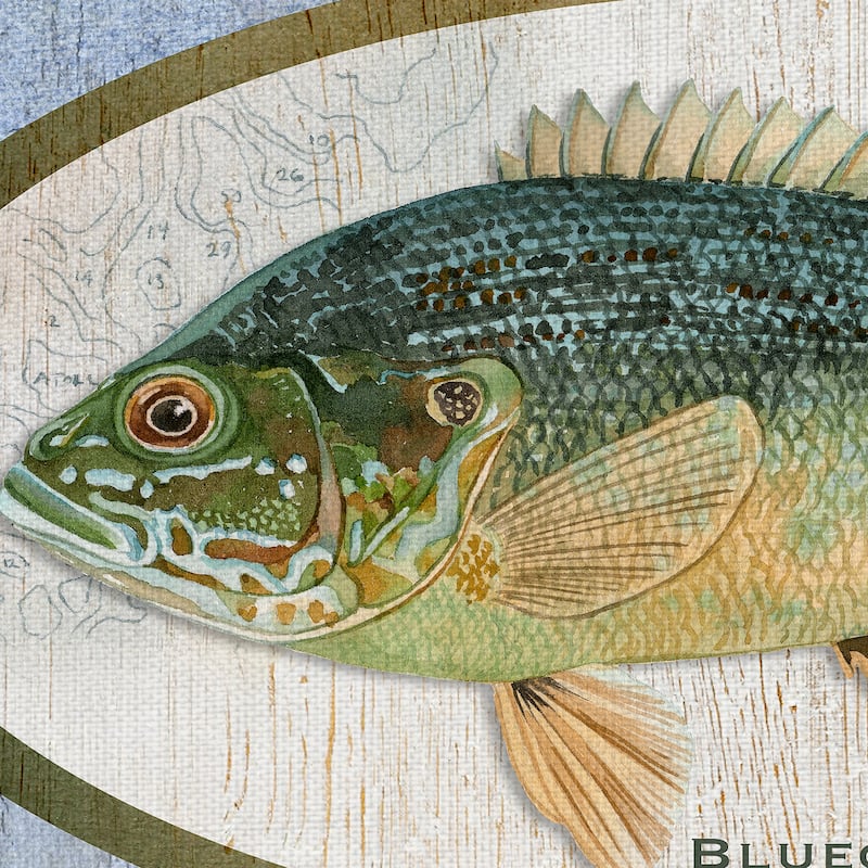 Gone Fishing by Suzanne Cruise Creative Services Canvas Art Print