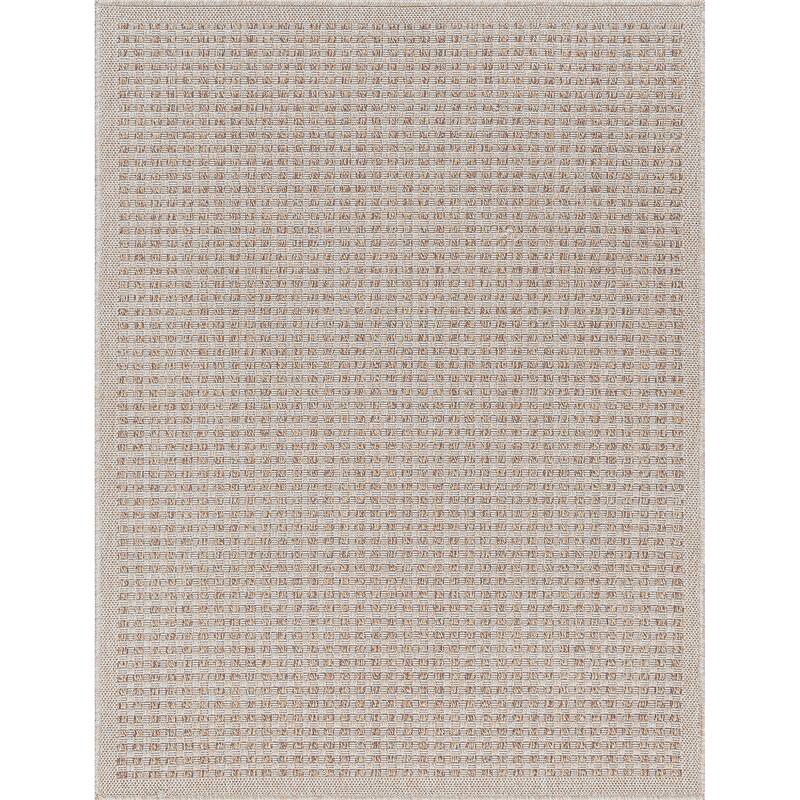 Dennis Coastal Windowpane Indoor/Outdoor Area Rug
