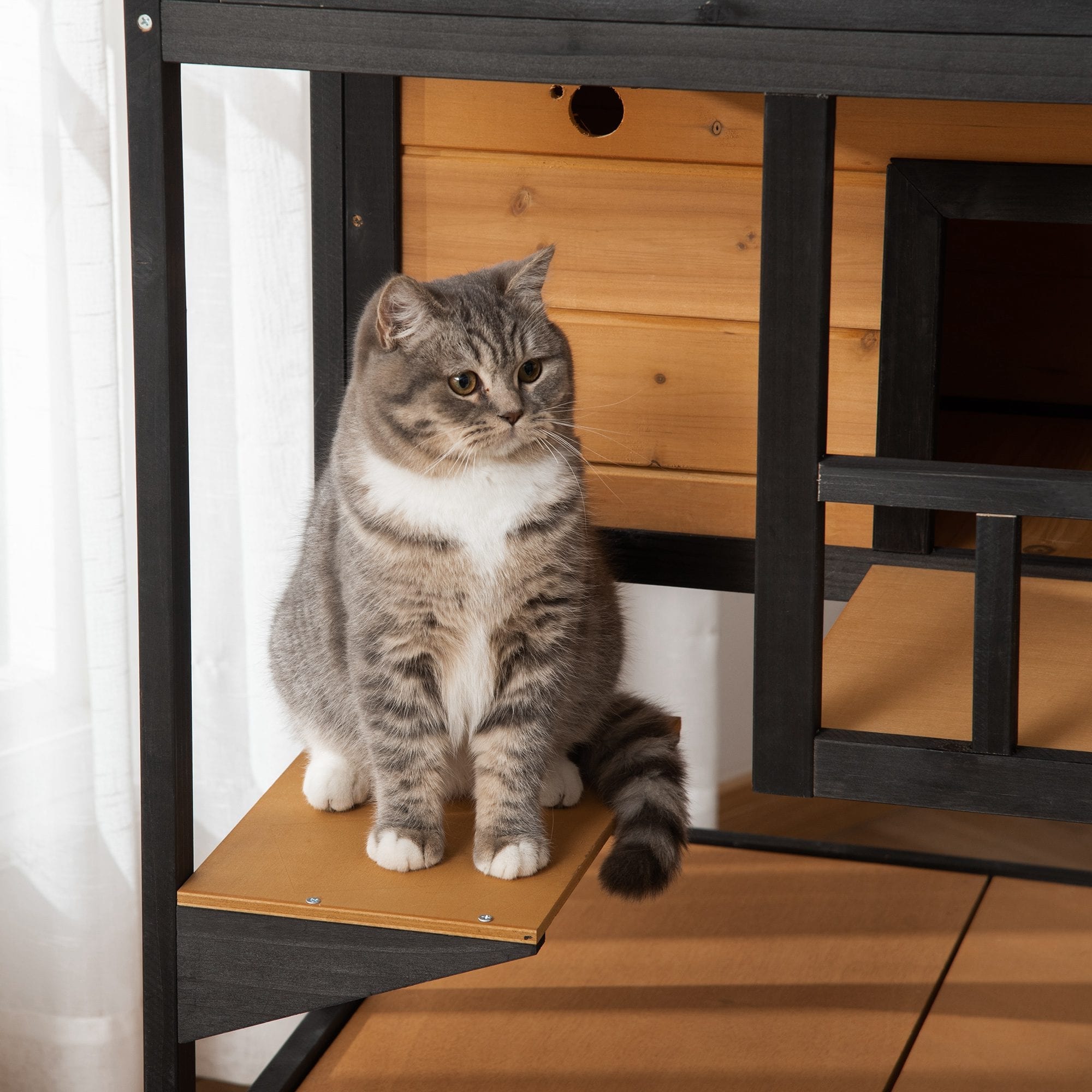 Bed bath and beyond cat cheap