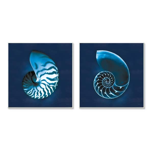 Stupell Industries Blue Spiral Nautilus Shell With Interior Pattern Wood Wall Art 12 X 12 Overstock