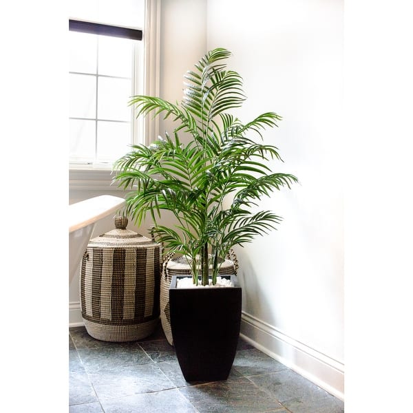 best pot for zz plant ZZ Plant, Buy Zamioculcas Zamiifolia Live Indoor Houseplant Online 4" Pot / Cow Pot by Succulents Box