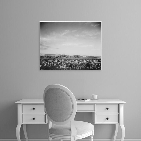 Easy Art Prints Ansel Adams's 'Near Death Valley National Monument' Premium Canvas Art