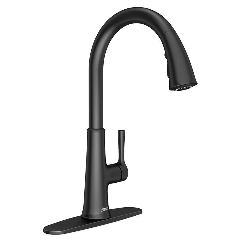 American Standard 9319.310 Renate 1.5 GPM Single Hole Pull Down