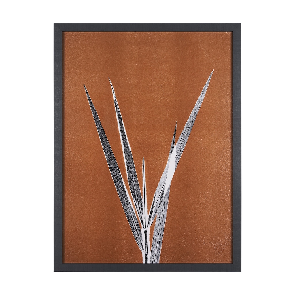 New Grasses 1
