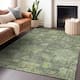 Option Fern