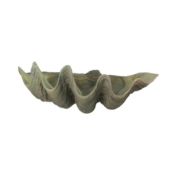 Giant Clam Shell Sculpture A Piece Of My Art Ornament Home Decor Bowl A Gift