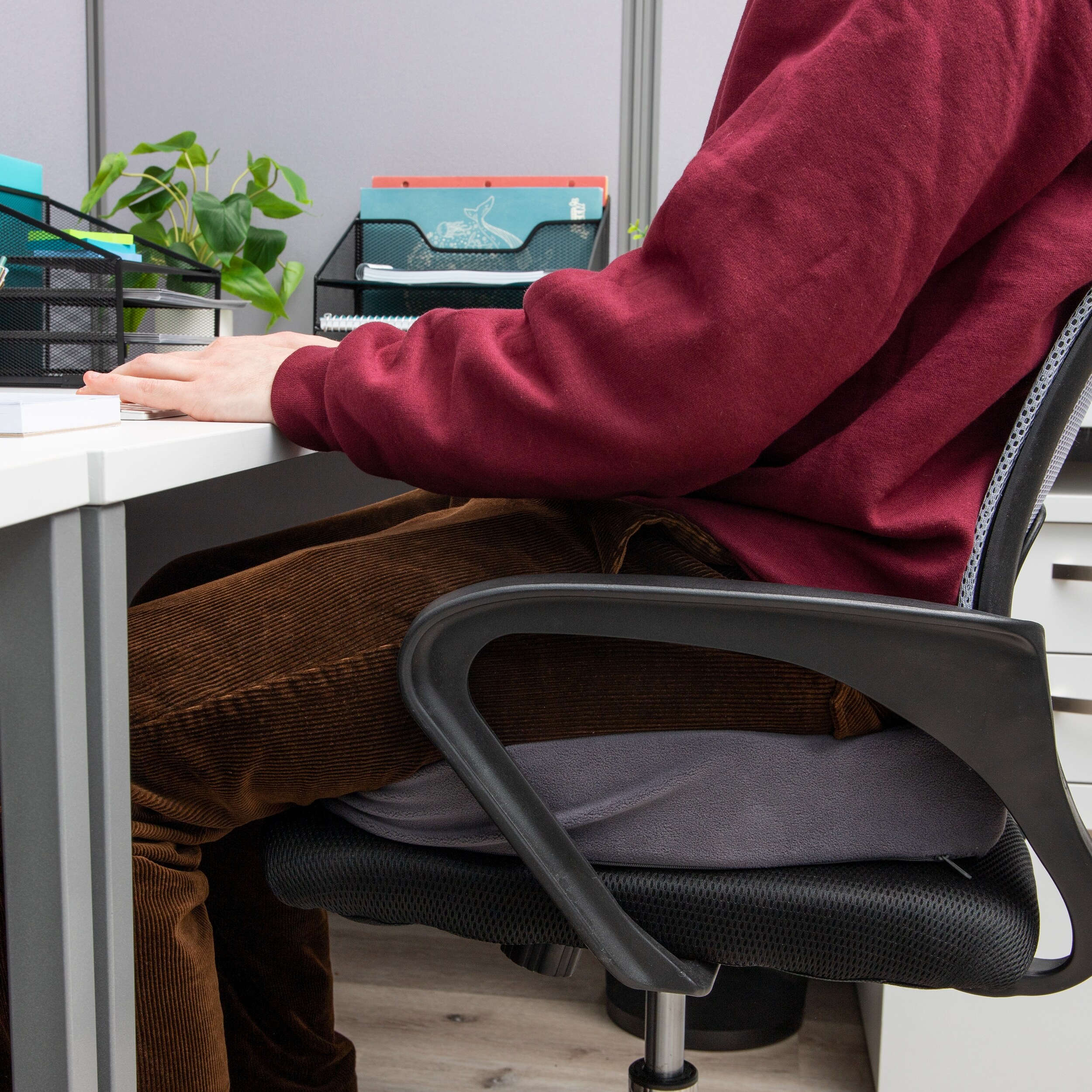 Bed bath and top beyond orthopedic seat cushion