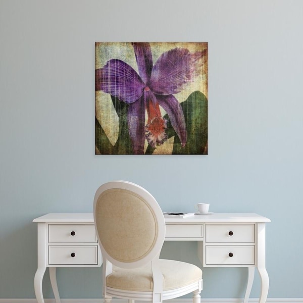 Easy Art Prints John Butler's 'Pacific Orchid II' Premium Canvas Art