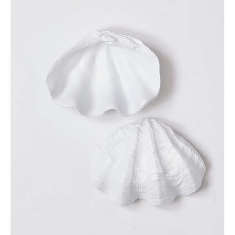 8" Shell Bowl - 8