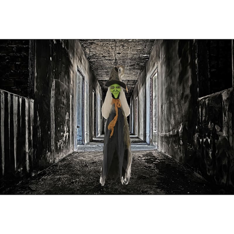 Haunted Hill Farm 2.5-ft. Staked Witch, Indoor/Covered Outdoor Halloween Decoration, LED Red Eyes, Battery-Operated