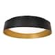 Option Black/Gold