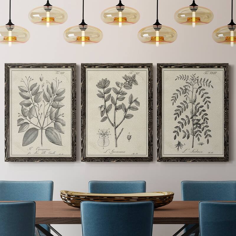 Antique Black & White Botanical VII-Premium Framed Canvas - Ready to Hang - Multi-Color