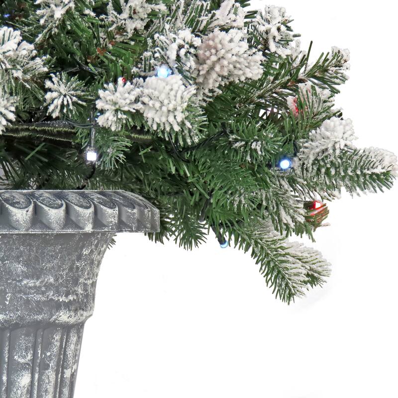 National Tree Company 24 in. Snowy Sheffield Spruce Porch Bush with Twinkly LED Lights - 2 ft