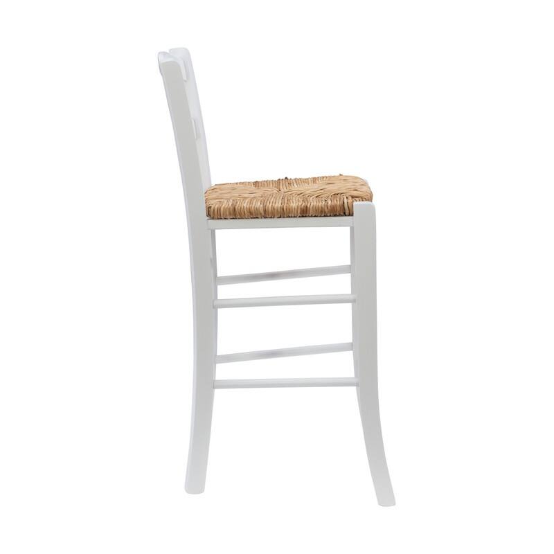 Cloney Counter Stool (Set of 2)