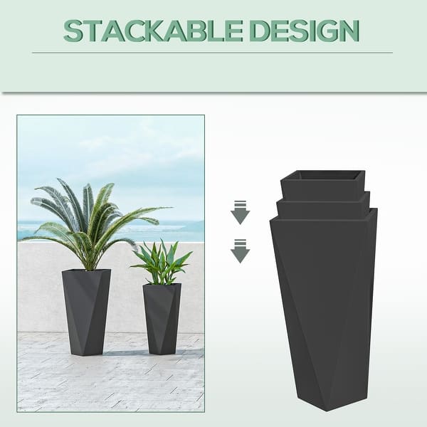 house plant umbrella plant Schefflera Arboricola 'Umbrella' main image 1