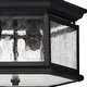preview thumbnail 3 of 3, Hinkley Lighting 2 Light Outdoor Flush Mount Ceiling Fixture from the