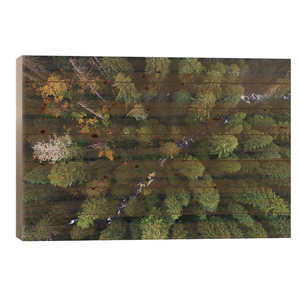 Forest Creek From Above Print On Wood by Daniel Gastager - Multi-Color