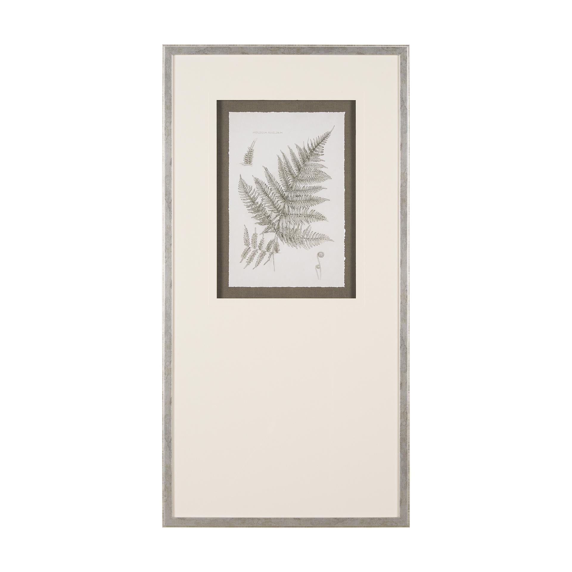 Fern Study III by Mercana Studio Hand Embelished Framed Art Print Matted under Glass