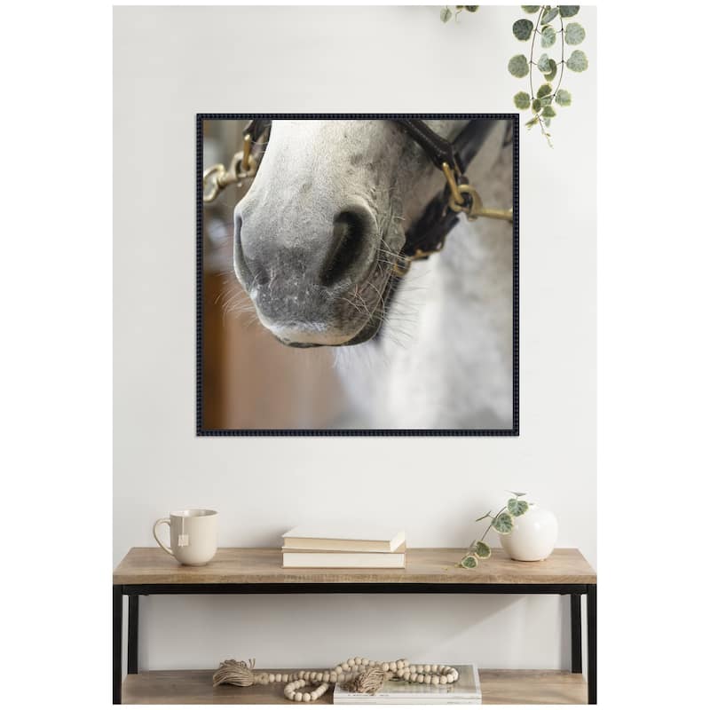 Kate and Laurel Barn Day Horse by Emiko and Mark Franzen F2 Images Framed Canvas Wall Art Print
