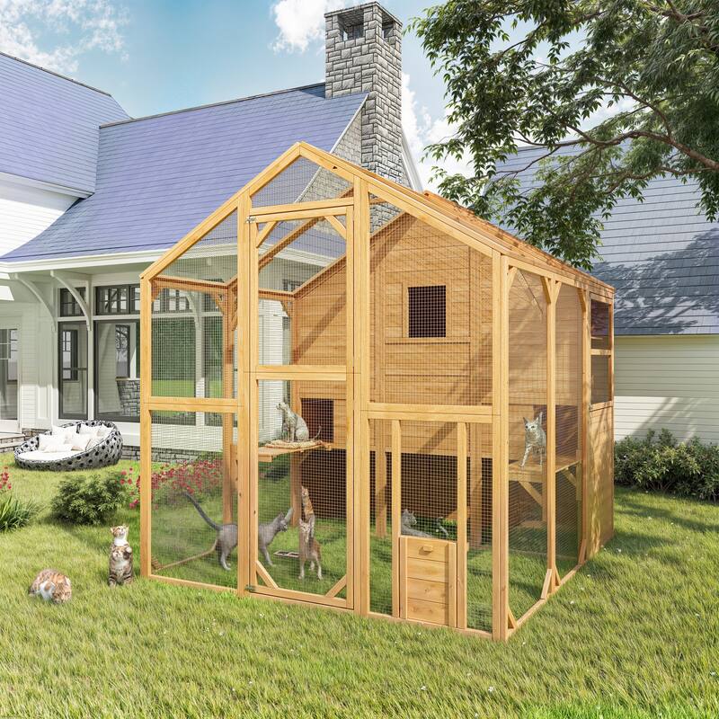 Cat Catio Window Box for 6 to 8 Kittens, Lockable House with 5 Windows