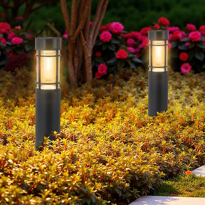 C Cattleya Black Solar LED Outdoor Path Lights (6 Pack or 12 Pack)