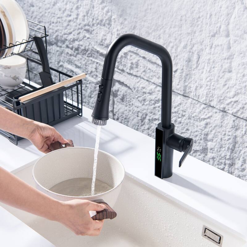 Single Handle Single Hole Pull Out Kitchen Sink Faucet with Temperature Display