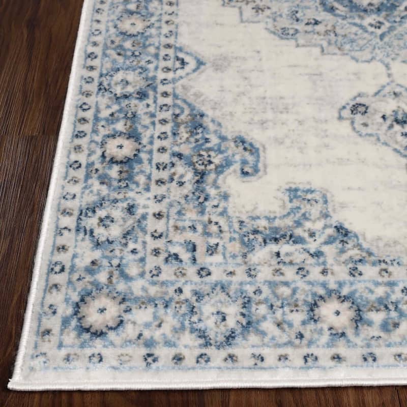 Superior Demelza Traditional Oriental Medallion Indoor Runner or Area Rug
