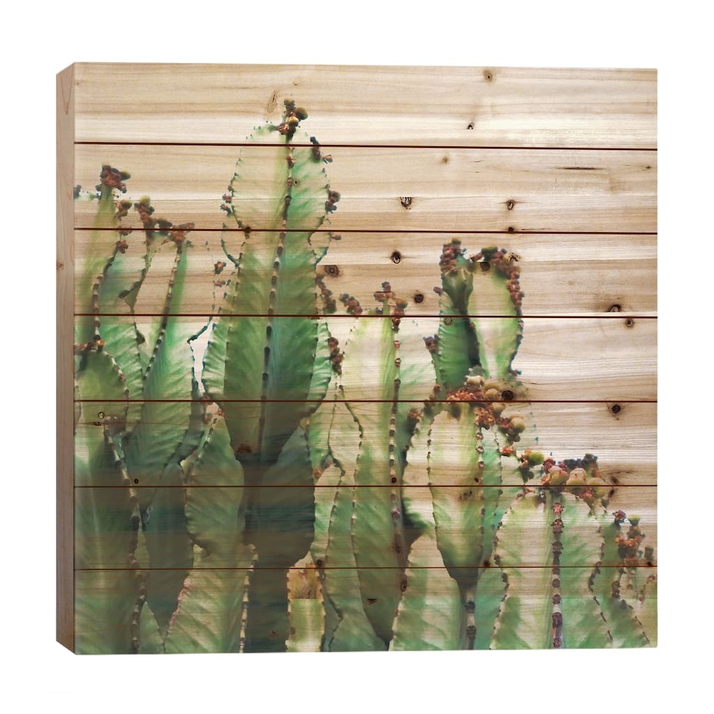 Cactus Love Print On Wood by 83 Oranges - Multi-Color