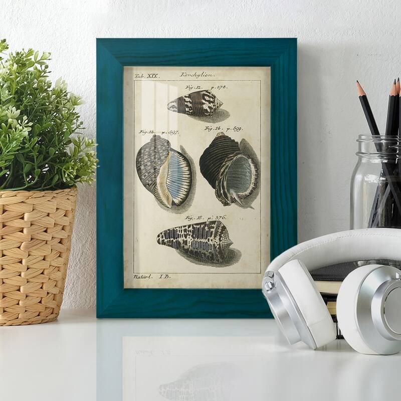 Vintage Shell Study III -Framed Print w/glass-Cherry Red