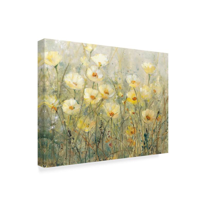 Tim Otoole 'Summer In Bloom I' Canvas Art