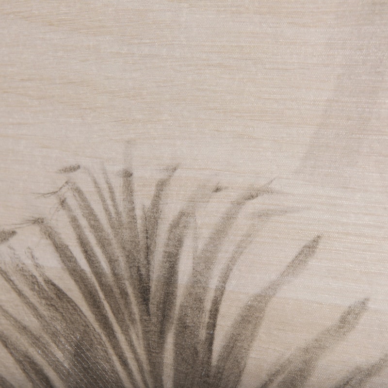 Shadows On Wood II (40 x 60) Canvas Art Print