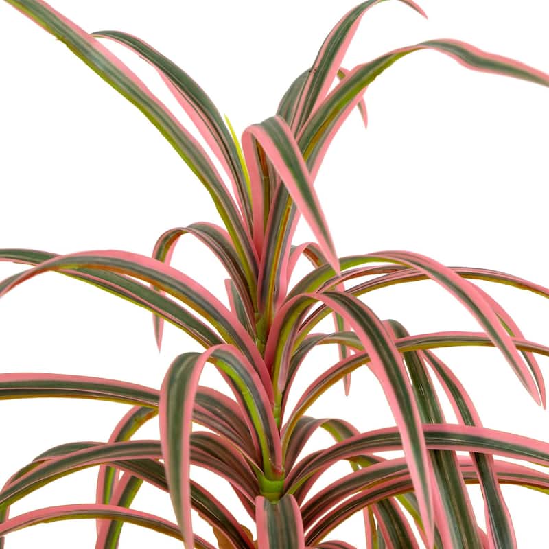 Dracaena Marginata Artificial Plant - 2' - Pink and Green