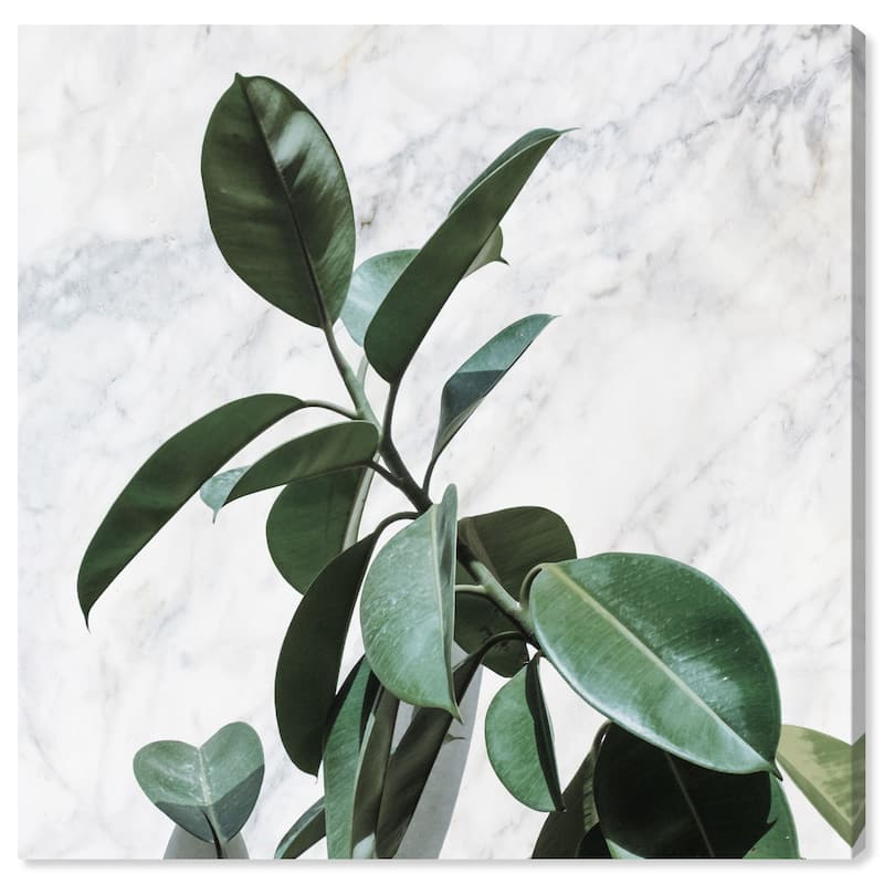 Wynwood Studio Prints Floral and Botanical Plant Life Marble Green and Dark Green Tropical Wall Art Canvas Print