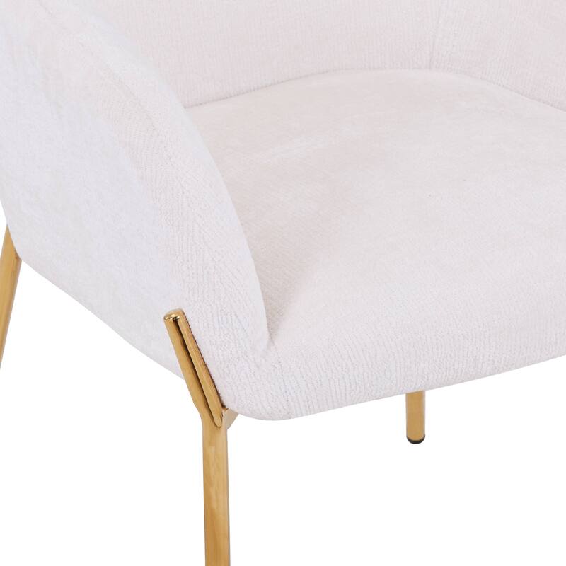 Zaire Upholstered Dining Chair in Velvet/Leather/Boucle with Gold Chrome Iron