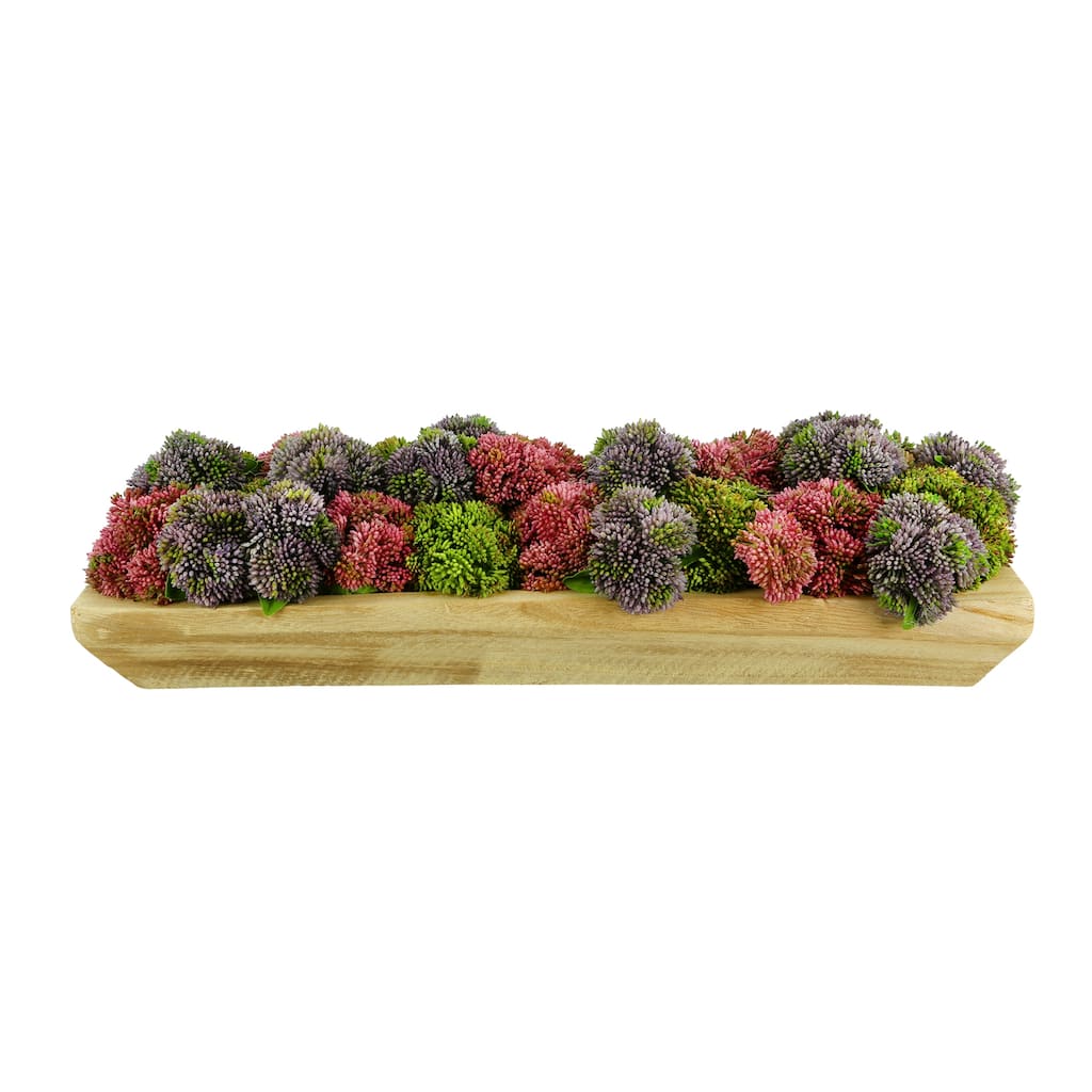 Assorted Sedum Arranged in Wood Planter - Purple, Pink, Green
