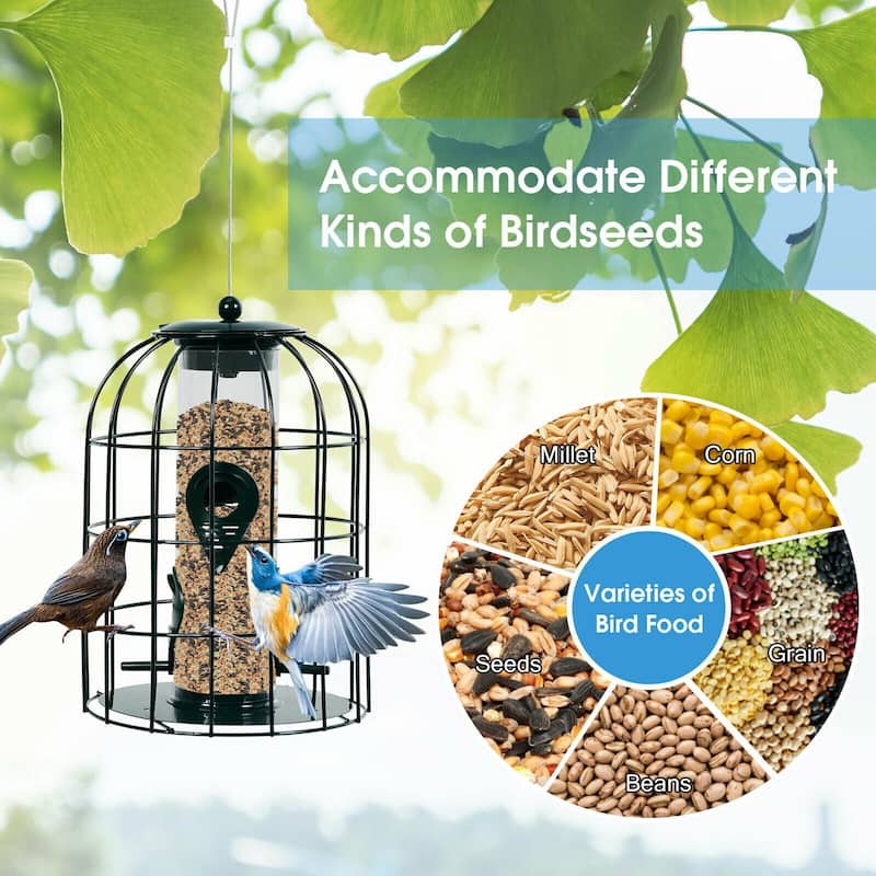 Squirrel-Proof Bird Feeder with Sturdy Iron Cage and Multiple Feeding Ports for Small Birds - 7'' x 7'' x 10'' (L x W x H)