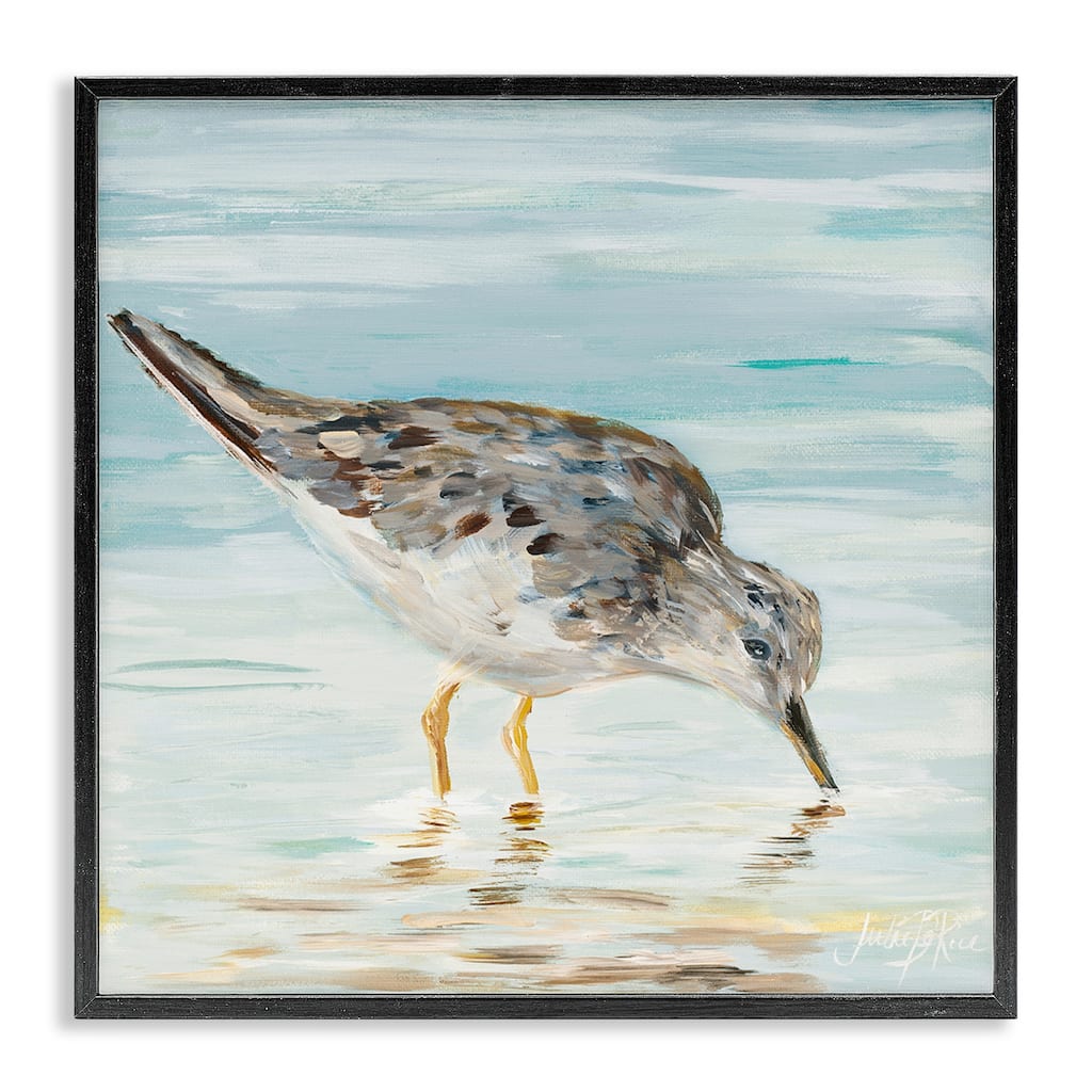 Stupell Sandpiper Hunting on Beach Coast Shallow Nautical Waters Framed Wall Art