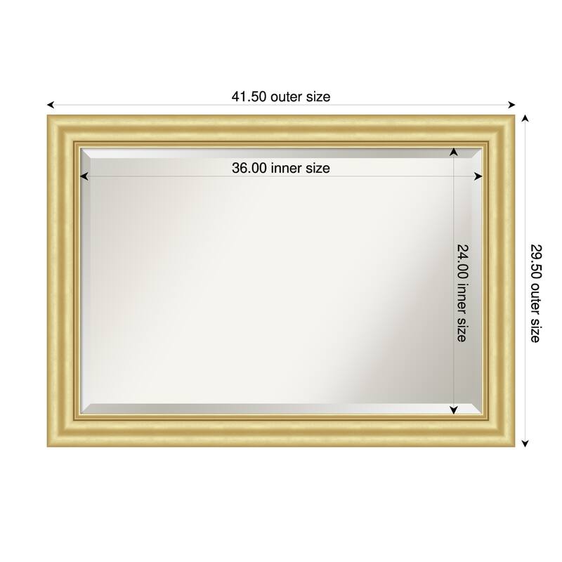 Sophia Beveled Framed Wall Mirror - 42 x 30 in - Sophia Gold