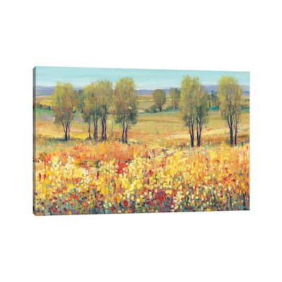 iCanvas "Golden Fields I" by Tim OToole Canvas Print