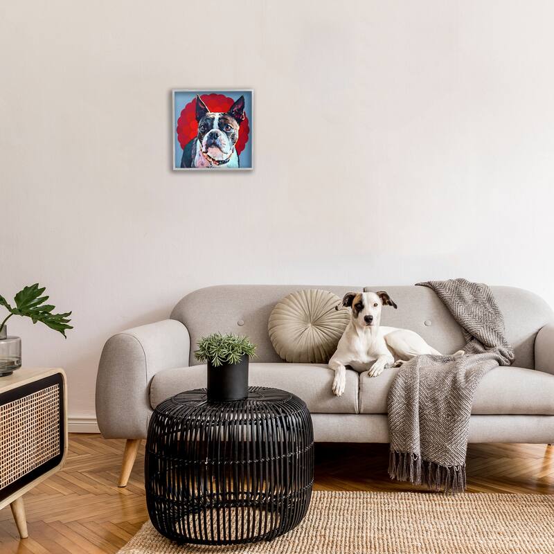 Stupell Boston Terrier Dog Portrait over Geometric Curved Pattern Framed Wall Art,12x12