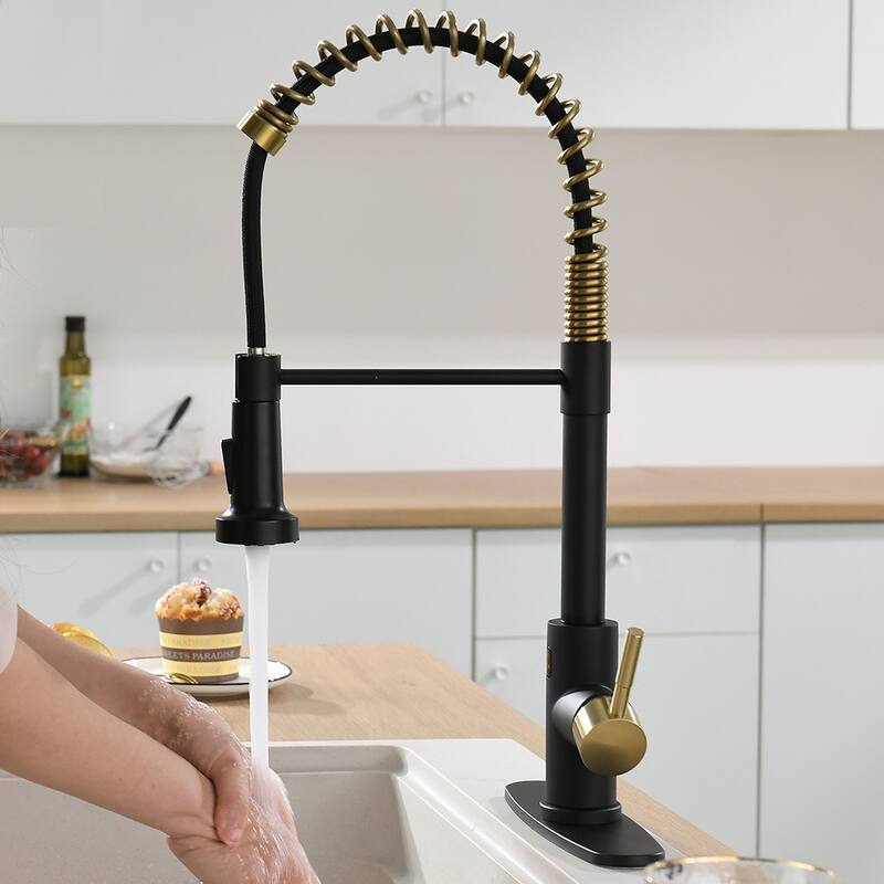 Kitchen Faucet with Battery Control Valve