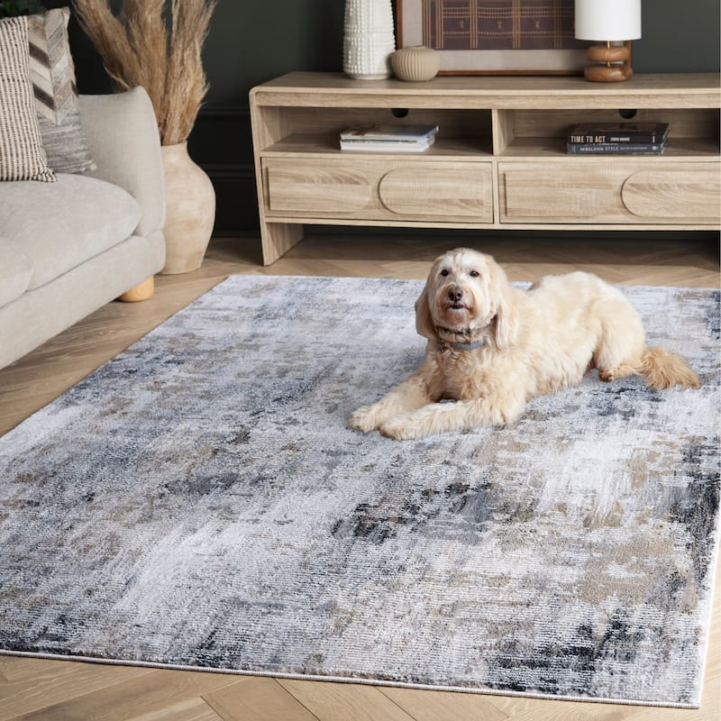 SAFAVIEH Slate Pauline Modern Abstract Rug